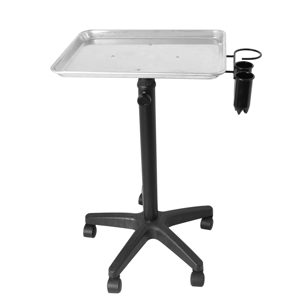 Salon Rolling Aluminum Tray Cart on Wheels for Hair Stylist, Hairdressing Tool