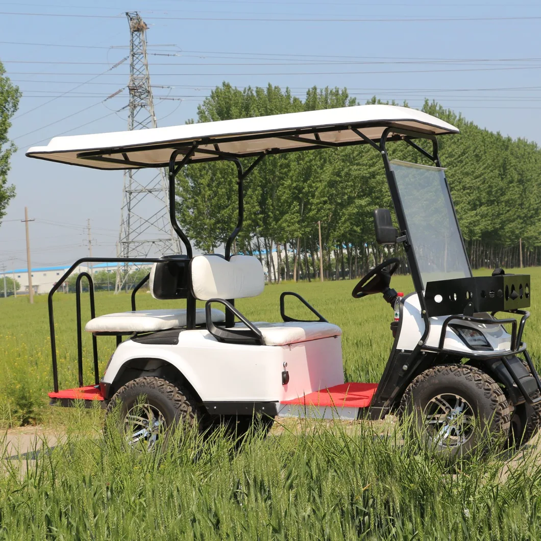 off Road 4 Seats Electric Utility Hunting Golf Trolley for Us Market